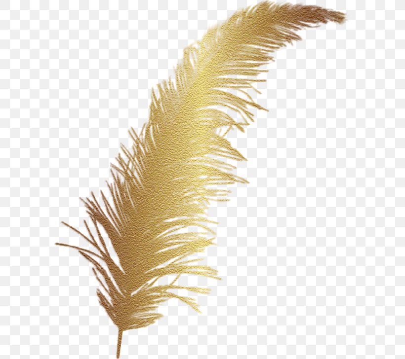 Feather Clip Art, PNG, 600x728px, Feather, Colourlovers, Featherwork, Picsart Photo Studio, Wing Download Free