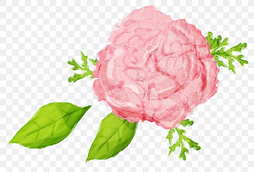 Illustration Image Download Graphic Design, PNG, 1568x1065px, Watercolor Painting, Carnation, Color, Cut Flowers, Floral Design Download Free