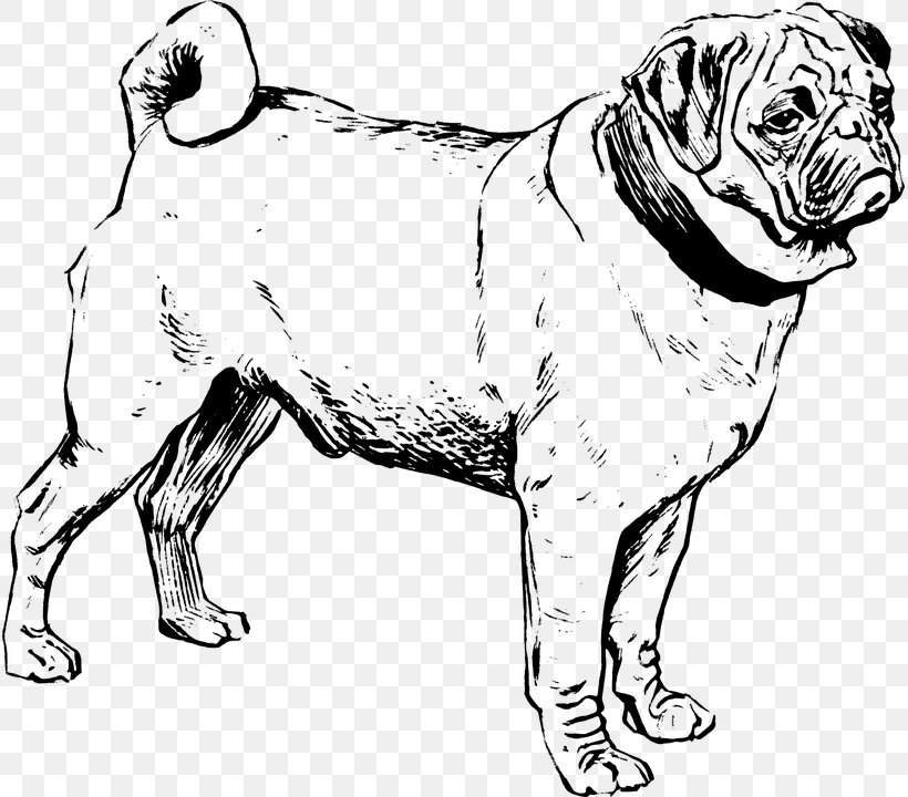 Puggle French Bulldog Chow Chow, PNG, 815x720px, Pug, Artwork, Black And White, Bulldog, Carnivoran Download Free