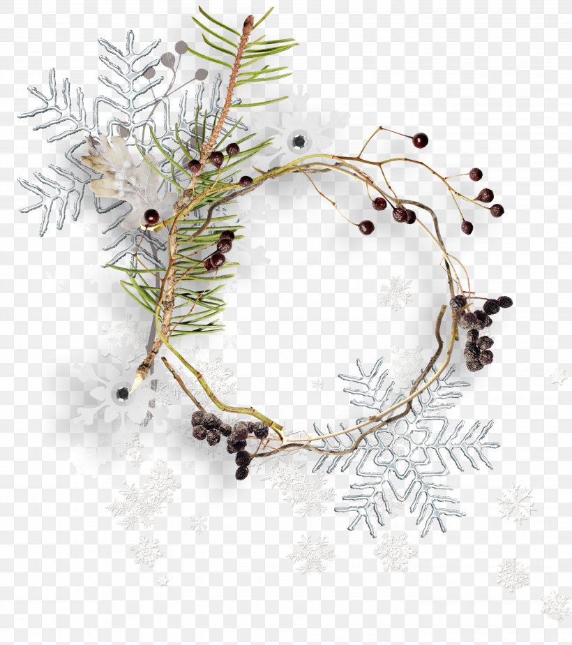 Branch, PNG, 2790x3146px, Branch, Christmas, Christmas Decoration, Christmas Ornament, Decor Download Free