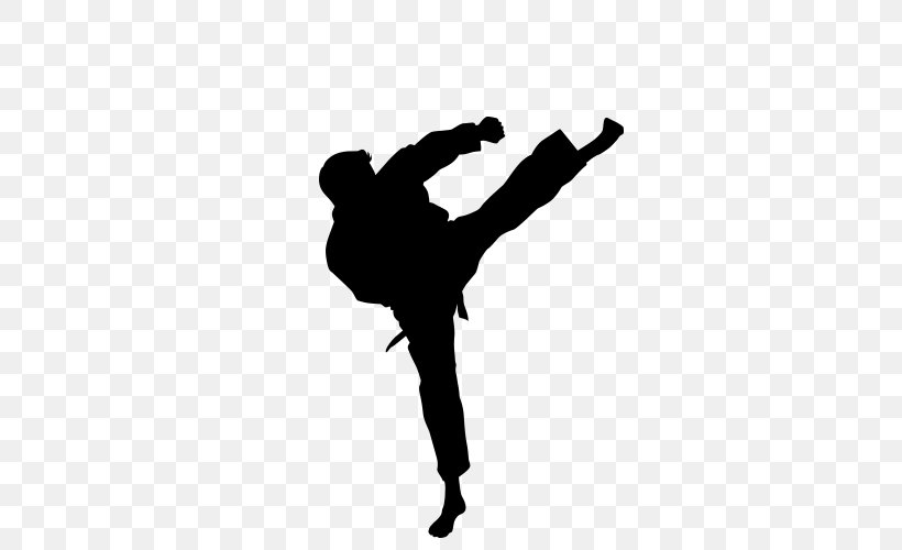 Karate Roundhouse Kick Martial Arts Taekwondo, PNG, 500x500px, Karate, Arm, Black And White, Capoeira, Chinese Martial Arts Download Free