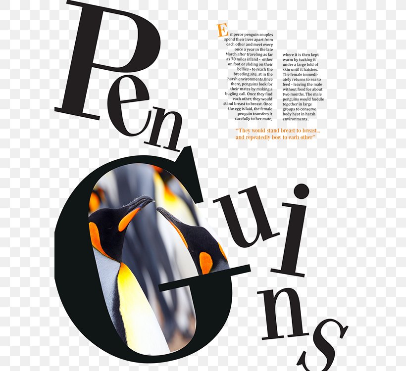 Magazine Page Layout Communication Design Logo, PNG, 600x750px, Magazine, Adobe Indesign, Art, Article, Brand Download Free