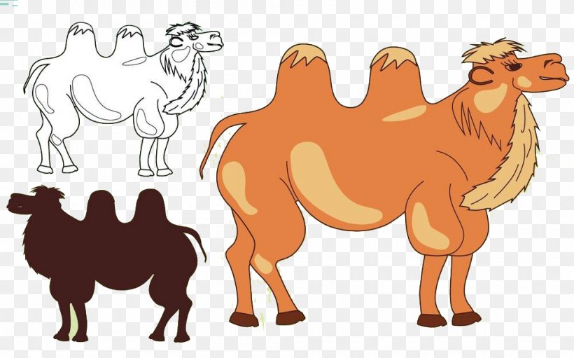 Camel Silhouette Illustration, PNG, 1000x624px, Camel, Arabian Camel, Camel Like Mammal, Desert, Drawing Download Free