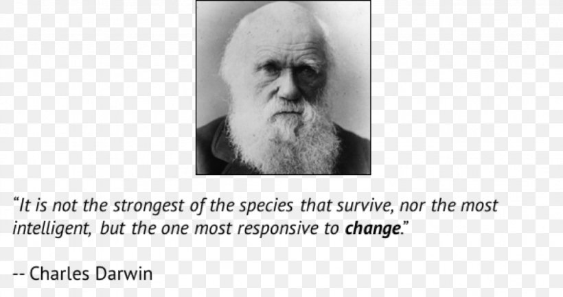 Charles Darwin Chin Homo Sapiens Human Behavior Beard, PNG, 1229x650px, Charles Darwin, Beard, Behavior, Black And White, Book Download Free