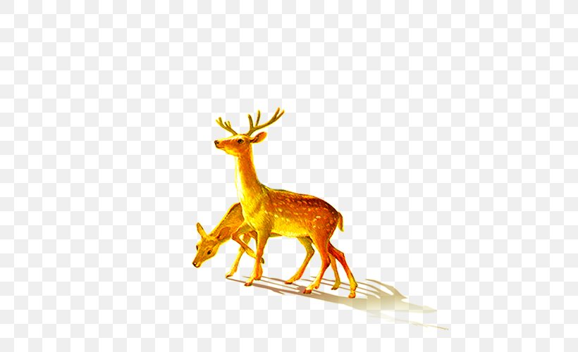 Deer, PNG, 500x500px, Deer, Antler, Designer, Fauna, Horn Download Free