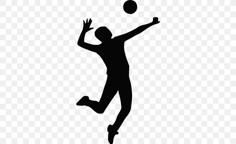 Tampa North Volleyball Club Sport Clip Art, PNG, 290x500px, Tampa North Volleyball Club, Artwork, Ball, Beach Volleyball, Black And White Download Free
