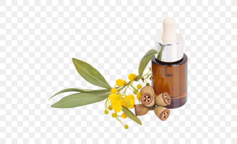 Tasmanian Blue Gum Eucalyptus Oil Lemon-scented Gum Essential Oil Eucalyptus Haemastoma, PNG, 500x500px, Tasmanian Blue Gum, Corymbia, Essential Oil, Eucalyptus Oil, Flower Download Free