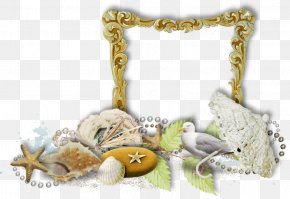 Autorized Frame - Blog Beach Image Nos Absents PNG