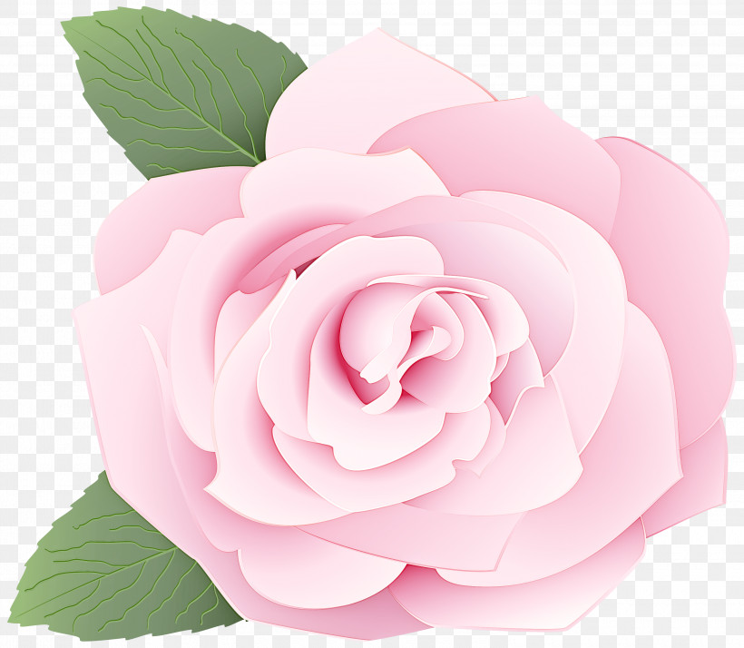 Garden Roses, PNG, 3000x2615px, Pink, Floribunda, Flower, Garden Roses, Hybrid Tea Rose Download Free