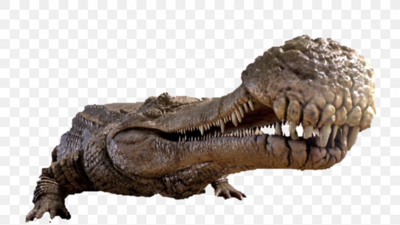 Sarcosuchus Crocodiles Velociraptor Tyrannosaurus, PNG, 976x549px, Sarcosuchus, Alligator, Crocodile, Crocodiles, Crocodilia Download Free