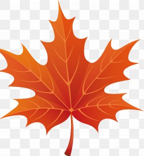 Easter Flyer - Autumn Leaf Color Clip Art PNG