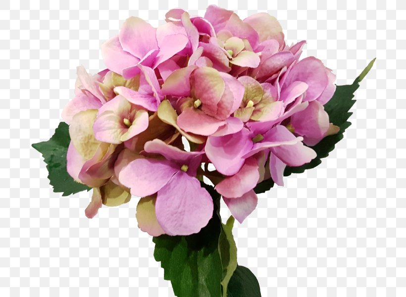 Hydrangea Floral Design Cut Flowers Flower Bouquet, PNG, 800x600px, Hydrangea, Annual Plant, Cornales, Cut Flowers, Floral Design Download Free