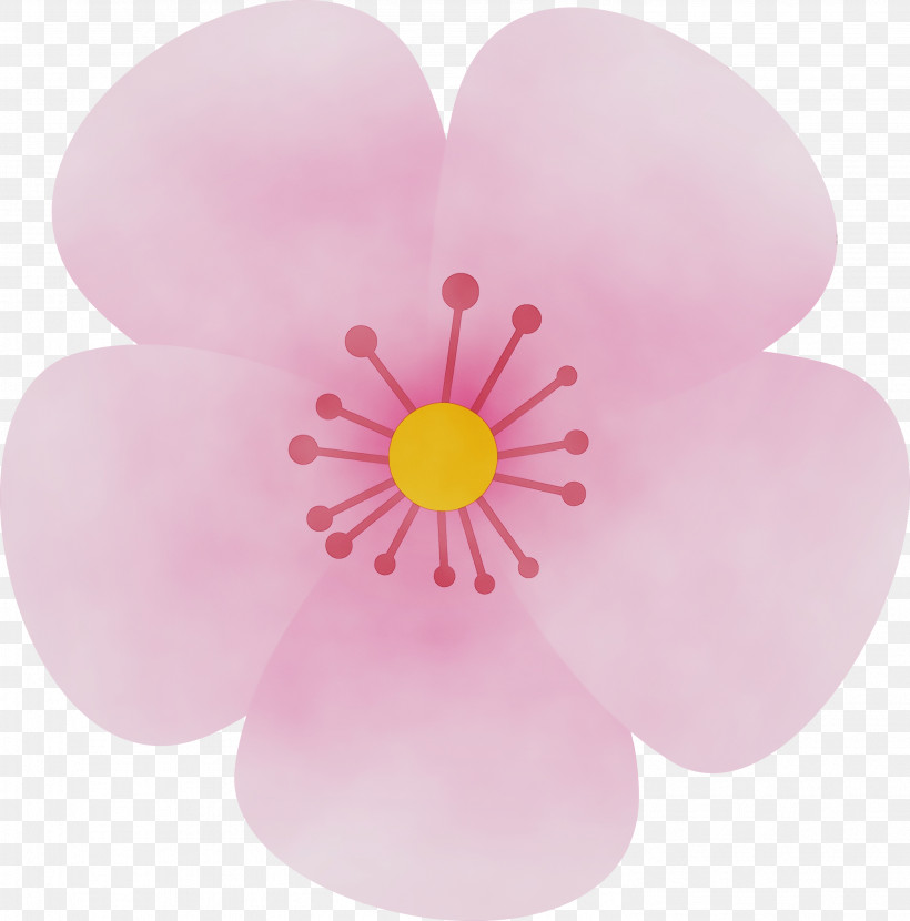 Petal Pink Flower Plant Wildflower, PNG, 2962x3000px, Cherry Flower, Floral, Flower, Paint, Perennial Plant Download Free