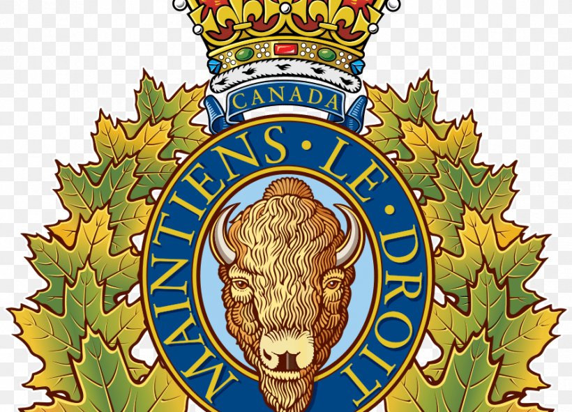 Royal Canadian Mounted Police (RCMP) Burnaby RCMP Arrest, PNG, 889x641px, Royal Canadian Mounted Police, Arrest, Canada, Happy Valleygoose Bay, Law Enforcement Agency Download Free