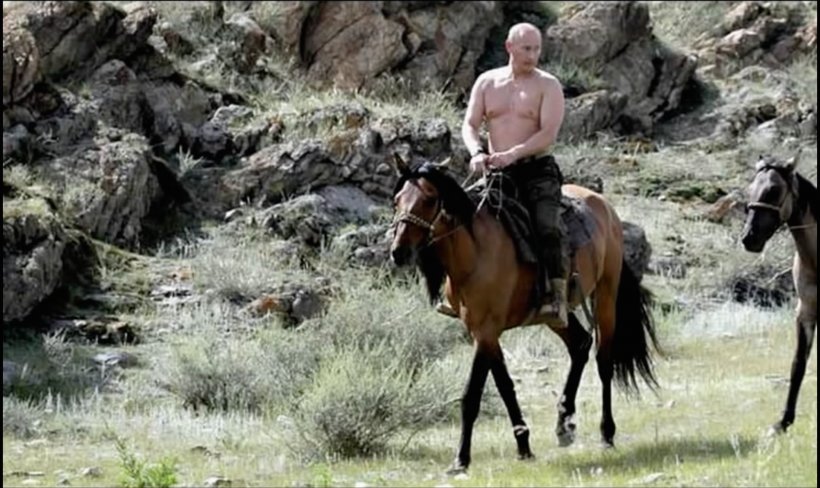 Tuva United States Horse President Of Russia Equestrian, PNG, 2176x1296px, Tuva, Army Officer, Barack Obama, Bridle, Donald Trump Download Free