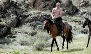 Vladimir Putin - Tuva United States Horse President Of Russia Equestrian PNG