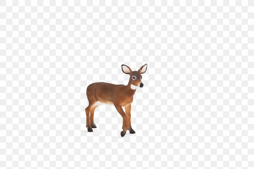 White-tailed Deer Reindeer Wildlife Animal Planet, PNG, 1000x667px, Whitetailed Deer, Action Toy Figures, Animal, Animal Figure, Animal Planet Download Free