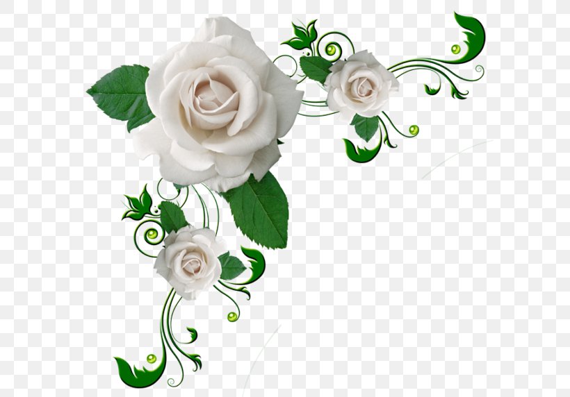 Flower Rose Clip Art, PNG, 600x572px, Flower, Body Jewelry, Cut Flowers, Flora, Floral Design Download Free