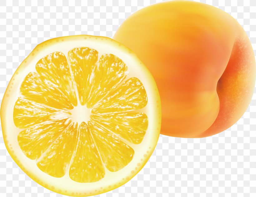 Juice Mandarin Orange Lemon Citrus Xd7 Sinensis, PNG, 1603x1238px, Juice, Citreae, Citric Acid, Citron, Citrus Download Free