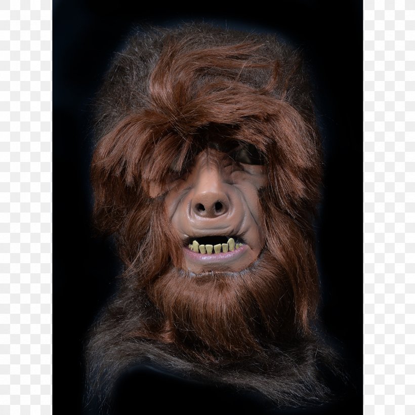 United States Mask Homo Sapiens Face Neandertal, PNG, 1000x1000px, United States, Americas, Ape, Face, Fur Download Free