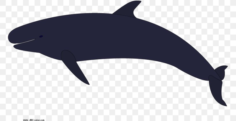 Whale Cartoon, PNG, 767x420px, Killer Whale, Animal Figure, Bottlenose Dolphin, Cetacea, Common Dolphins Download Free