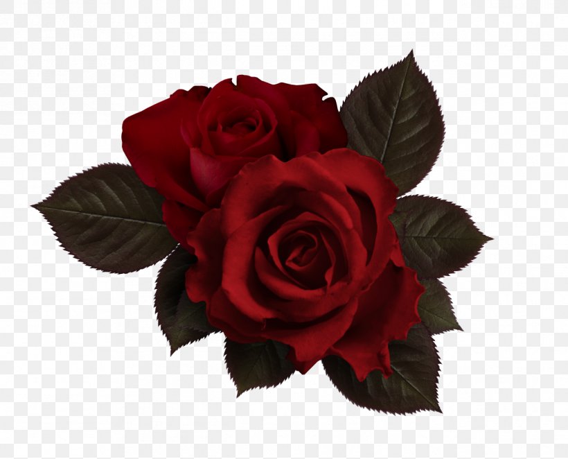Flower Rose Petal, PNG, 1268x1024px, Flower, Chart, Color Balance, Computer Graphics, Cut Flowers Download Free
