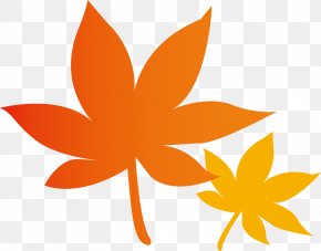 Dolla - ä»‹è­·ã‚µãƒ¼ãƒ“ã‚¹äº‹æ¥­è€…ã®ç¨®é¡ž Konan Junior High School Maple Leaf Caregiver PNG