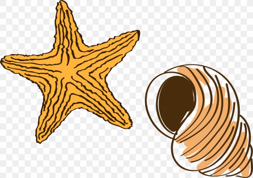 Cartoon Drawing Starfish, PNG, 935x659px, Cartoon, Dots Per Inch, Drawing, Image Resolution, Invertebrate Download Free