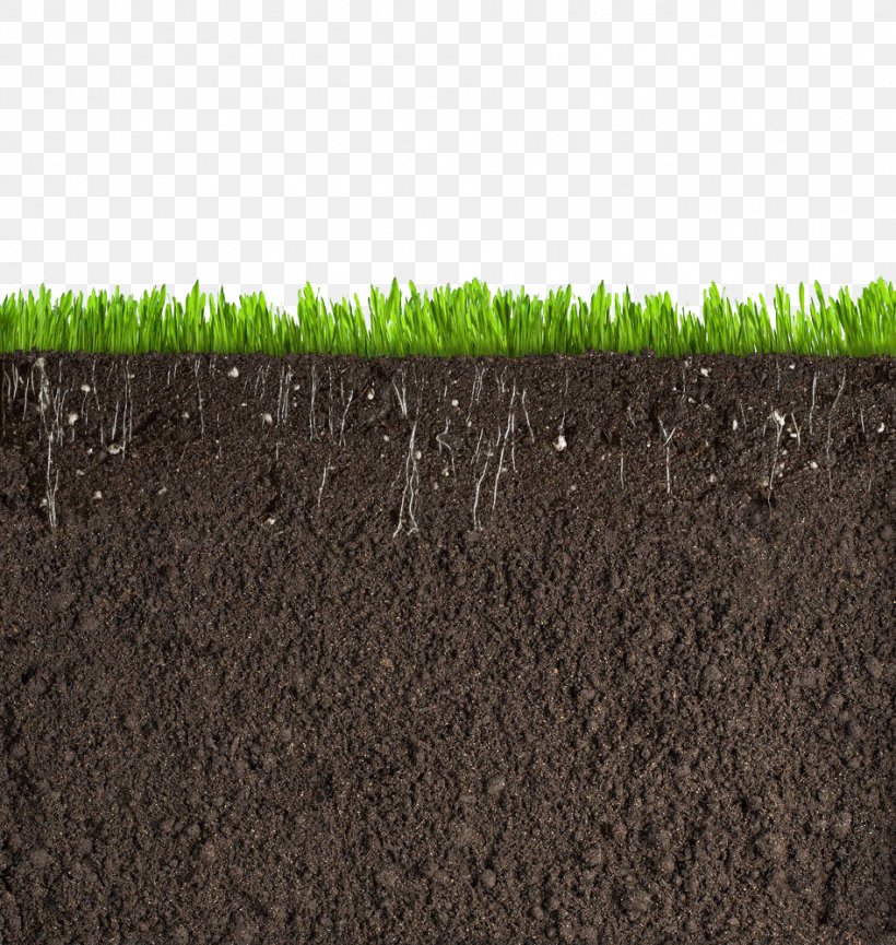 Grass Soil Cross Section, PNG, 947x1000px, Soil, Artificial Turf, Asphalt, Can Stock Photo, Grass Download Free
