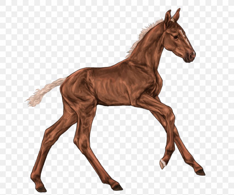 Mustang Foal Mare Colt Stallion, PNG, 900x750px, Mustang, Animal Figure, Bay, Chestnut, Colt Download Free