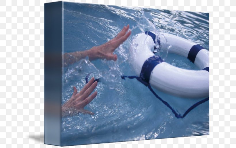 Water Leisure Dolphin Vacation Personal Protective Equipment, PNG, 650x515px, Water, Dolphin, Leisure, Marine Mammal, Personal Protective Equipment Download Free