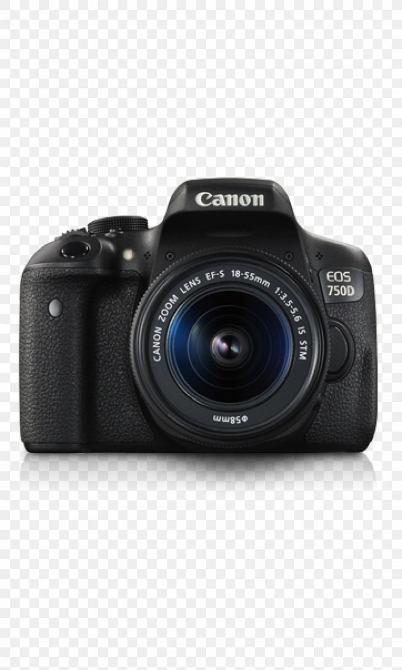 Canon EOS 750D Canon EF-S Lens Mount Canon EF-S 18–135mm Lens Canon EF-S 18–55mm Lens Digital SLR, PNG, 1800x3000px, Canon Eos 750d, Camera, Camera Accessory, Camera Lens, Cameras Optics Download Free