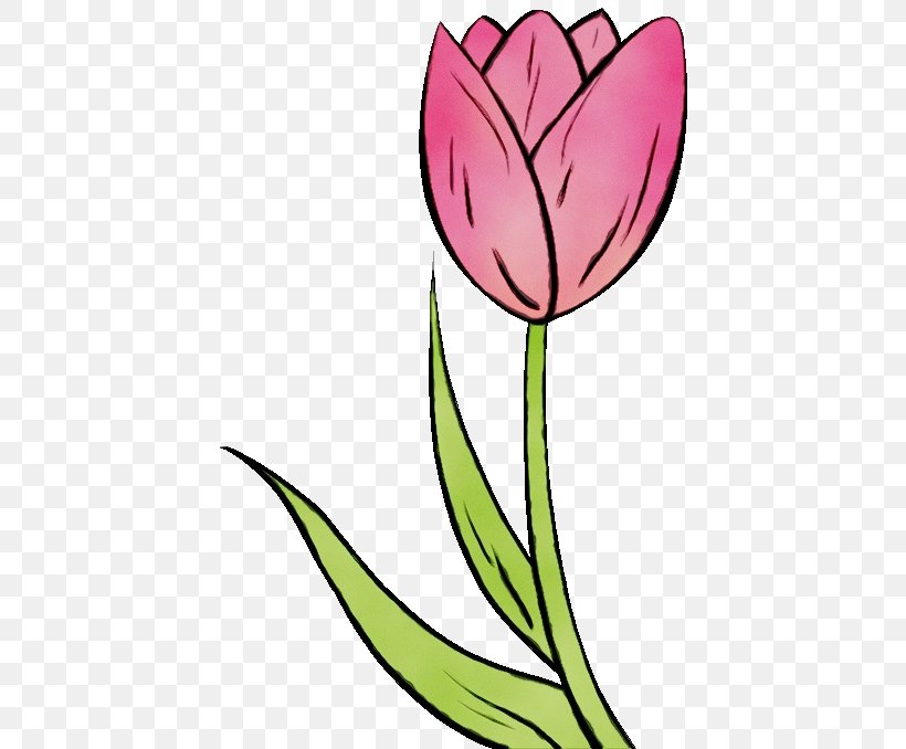 Flowering Plant Flower Plant Tulip Clip Art, PNG, 680x678px, Watercolor, Flower, Flowering Plant, Leaf, Paint Download Free