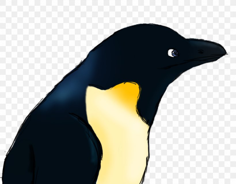 King Penguin Penguin Chicks Penguins Are Awesome Drawing, PNG, 900x702px, King Penguin, African Penguin, Beak, Bird, Drawing Download Free