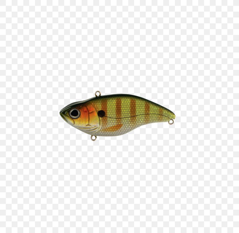 Perch Spoon Lure Plug Bass Worms Bait, PNG, 800x800px, Perch, Bait, Bass Worms, Bony Fish, Fish Download Free