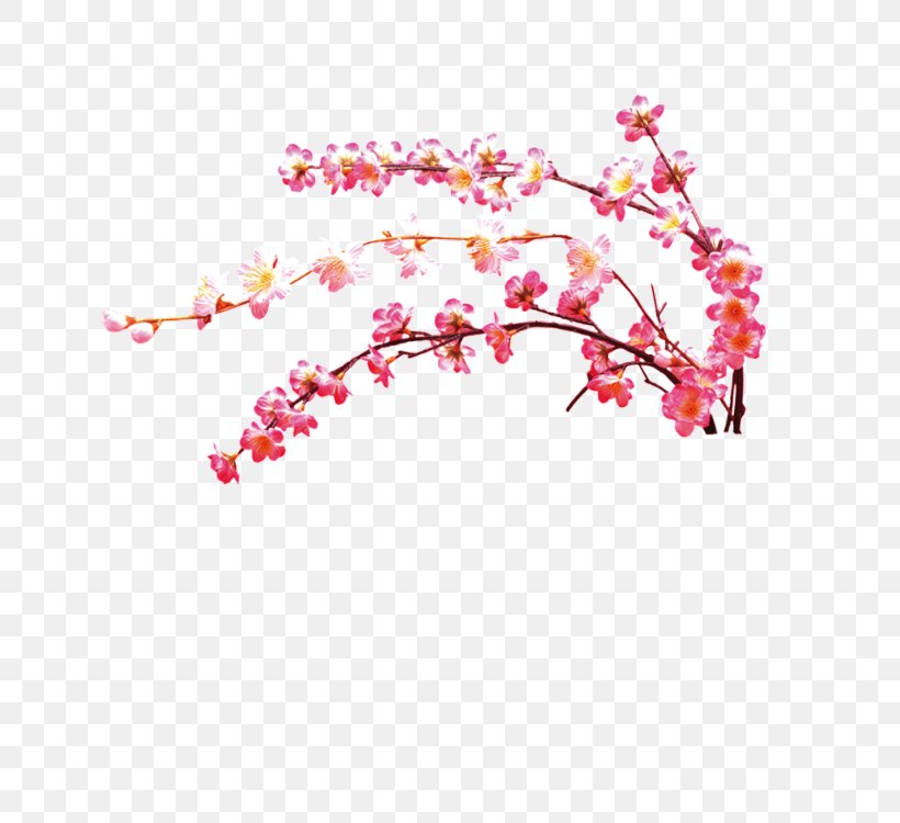 Image Download Flower Design, PNG, 750x750px, Flower, Art, Blossom, Branch, Cartoon Download Free