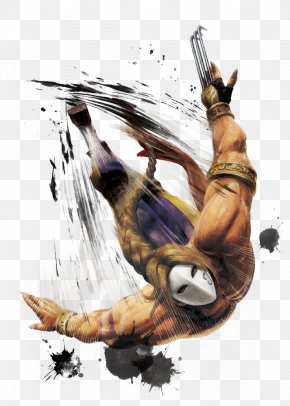 Street Fighter - Super Street Fighter IV Ultra Street Fighter IV Street Fighter V Vega PNG